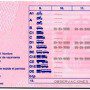 carnet-conducir